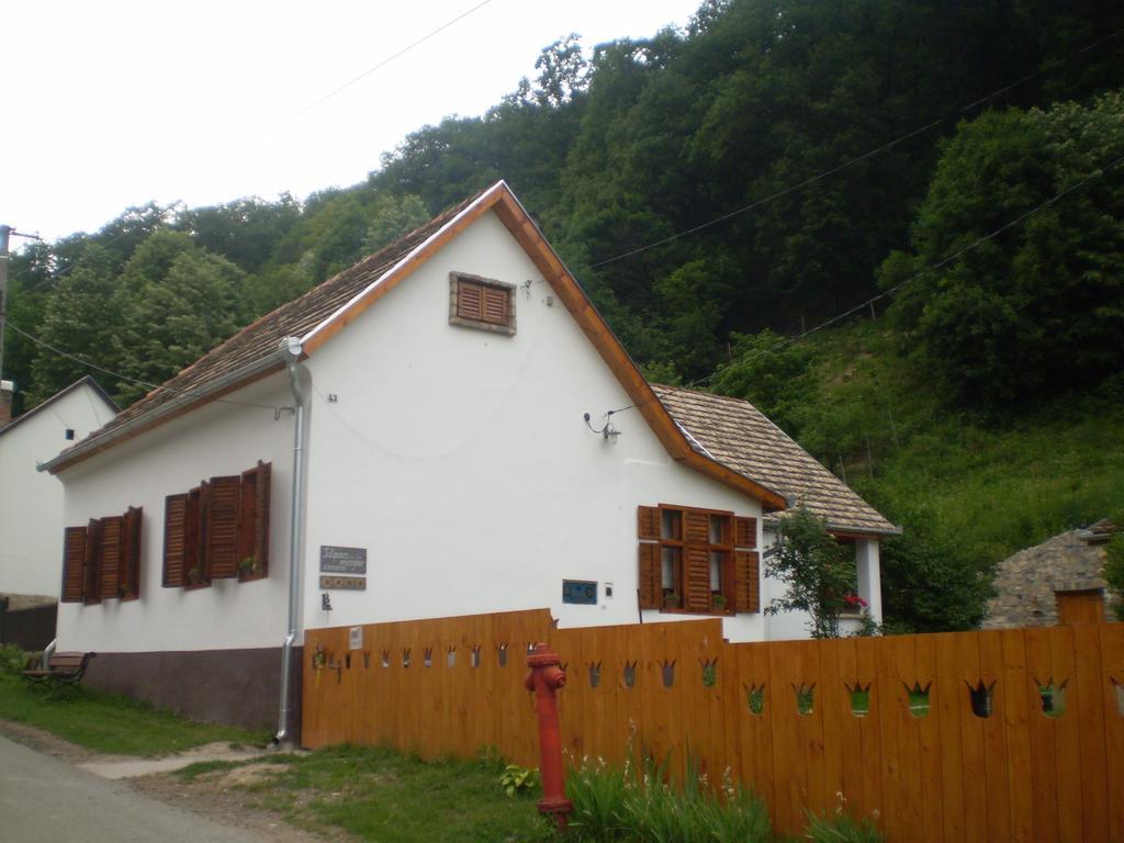 Tulipanos Vendeghaz Obanya