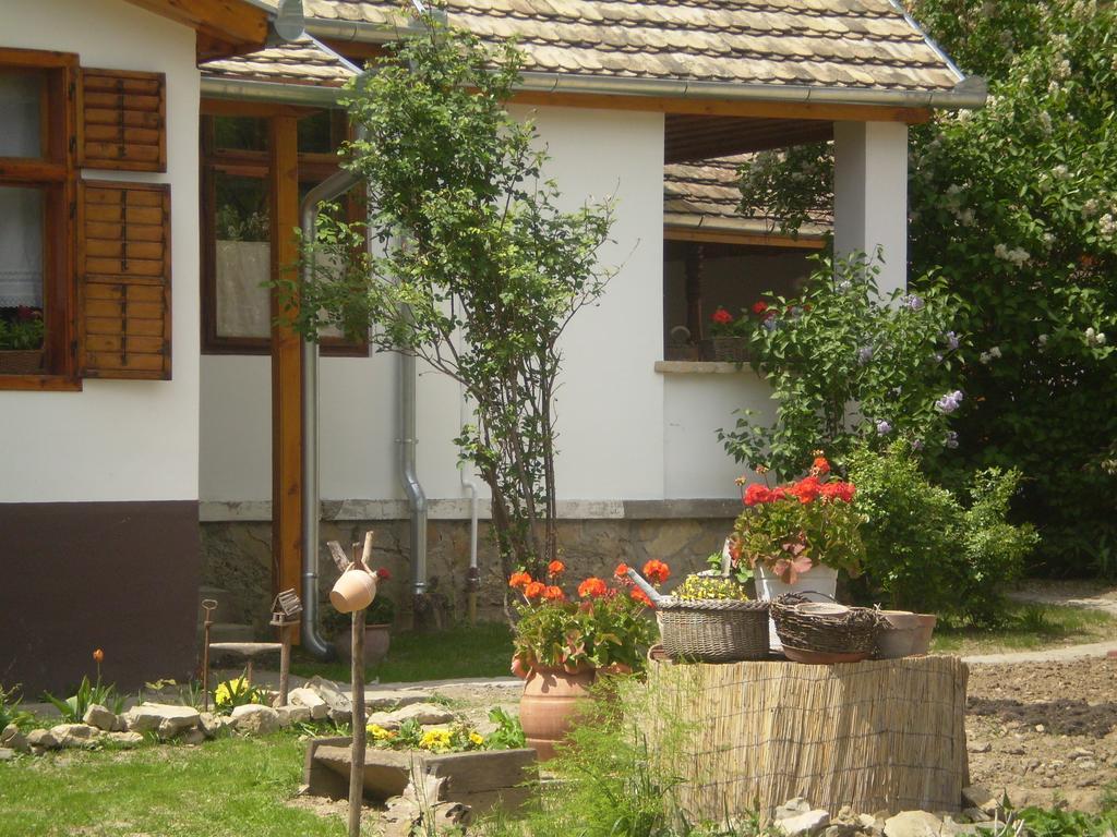 Tulipanos Vendeghaz Apartment Obanya