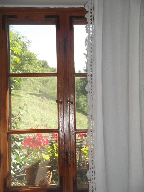 Apartment Tulipanos Vendeghaz Obanya