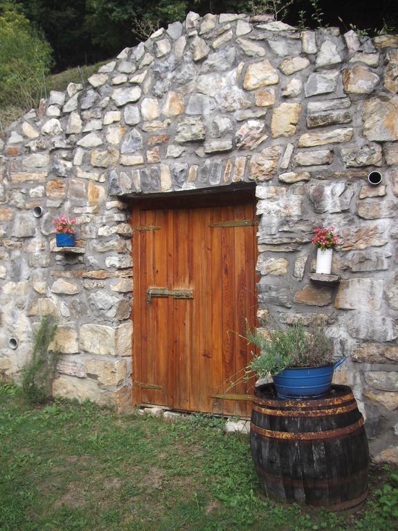Apartmán Tulipanos Vendeghaz *