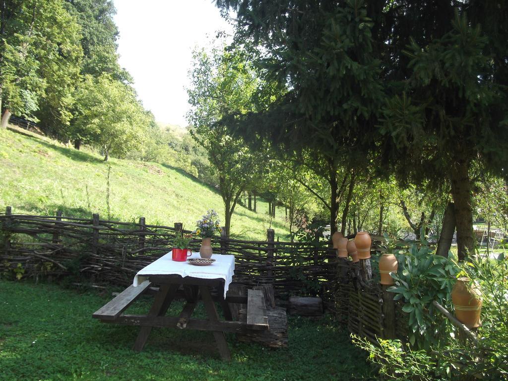 Apartmán Tulipanos Vendeghaz Obanya