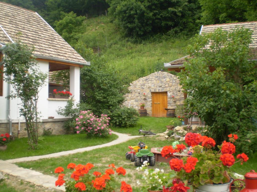 Apartment Tulipanos Vendeghaz
