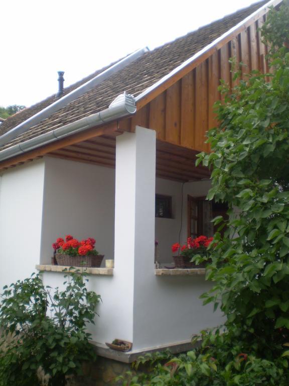 Tulipanos Vendeghaz