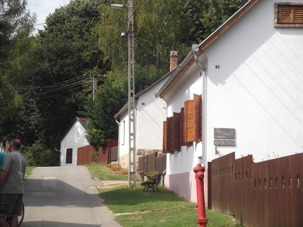 Apartmán Tulipanos Vendeghaz