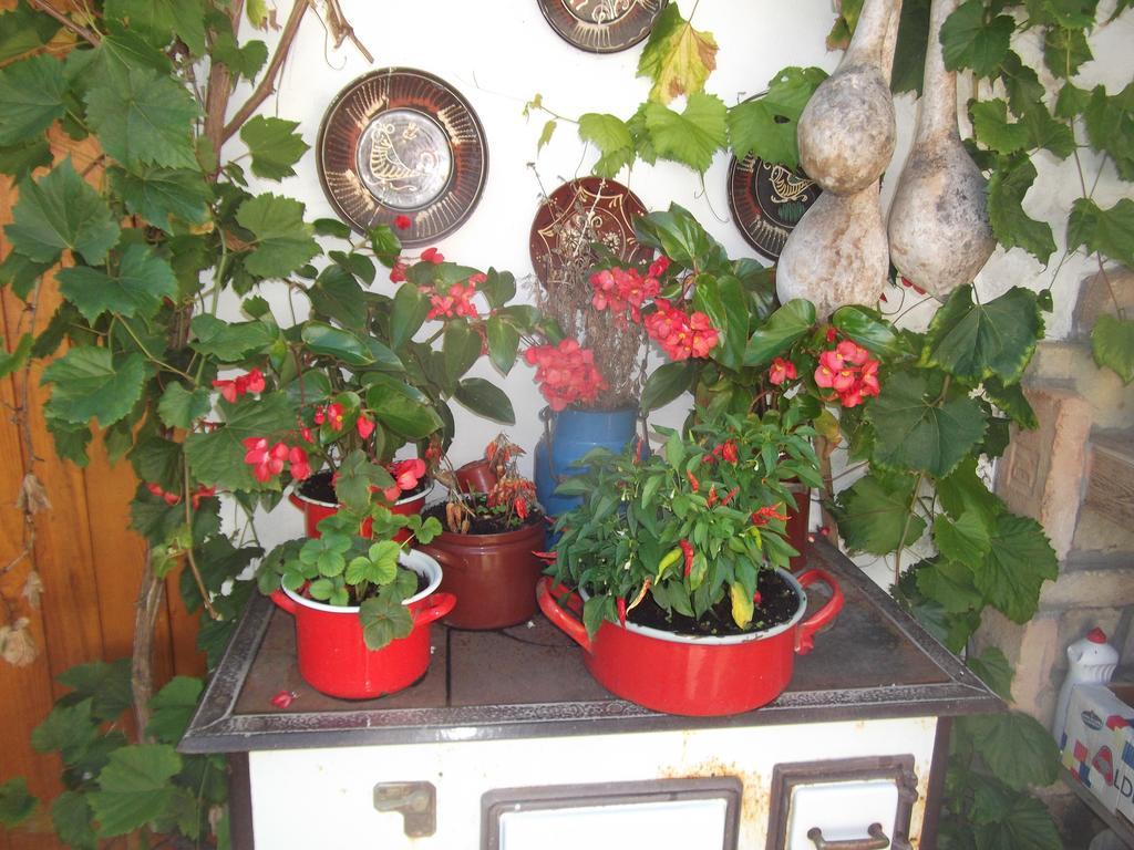 Tulipanos Vendeghaz Apartmán