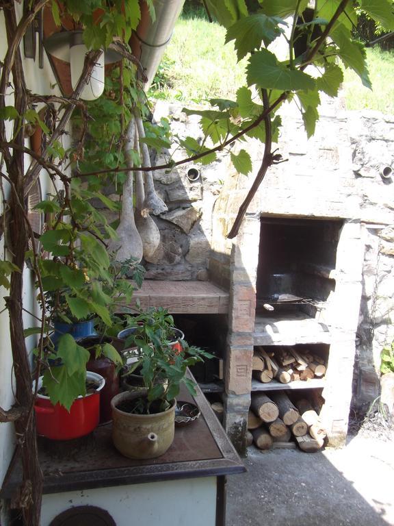 Tulipanos Vendeghaz Apartment *