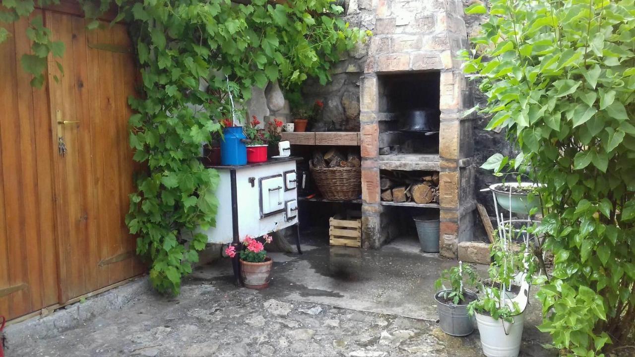 Tulipanos Vendeghaz